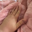 TC항암, 3차로 중단 및 종결 - 부작용 후기.