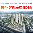 유림-37 이미지
