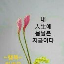 언주초등학교 이미지