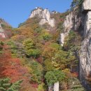 율어초교 이미지