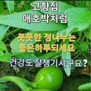 노년 예찬 이미지