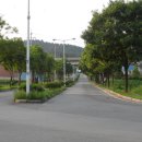 플래트 이미지