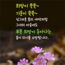 봄 /오카리나 연주 이미지