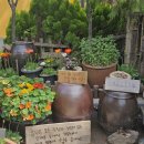 불암산 | No. 68 노원구 <불암산 철쭉제> 방문 후기 (w/ 남편)