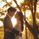 피오나헤어 이미지