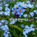 등산의 계획과 산행 요령 이미지