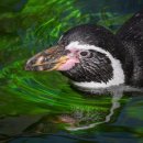 영신로9길 이미지