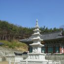 대법사 Daum카페