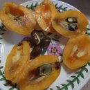 비파나무집 이미지