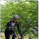 섬진강(순천) 이미지