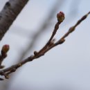 에콜리안정선골프장 이미지