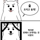 스페셜유 이미지