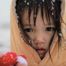 은정농장 이미지