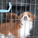 학산지구대 이미지