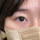 2층3층pc방이다 (인-221) | 안양 평촌 유앤닷 / 평촌역노글루속눈썹펌, 속눈썹펌 후기