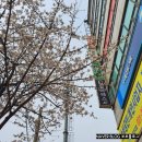 보보다방