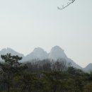 방학동 은행나무 이미지