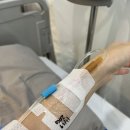 미소외과의원 | 난 이제 쓸개가 없어.. 광주 담대한 외과 담낭절제술 후기