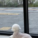 포미포밍 이미지