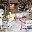 강화농장 이미지