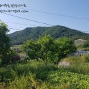 화원면사무소 이미지