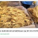 고향인삼사