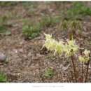 삼지목장 이미지