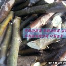 후인농장 네이버블로그