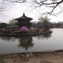 향정원 이미지