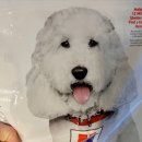 퍼펙트바이트 이미지