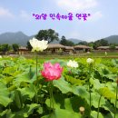 예산소복갈비 이미지