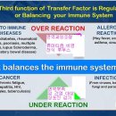 서울경희밸런스한의원 이미지