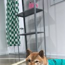 가드기멍 이미지