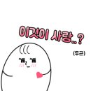 레고전 이미지