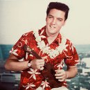 gathering(개더링) 이미지