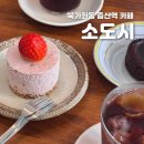 [증산역 카페] 소도시 커피숍 | 애견동반 가능, 노트북 작업하기 좋은 분위기 카페