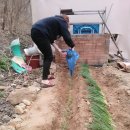 메종펜션 이미지