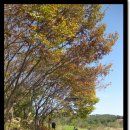 태화실업 이미지