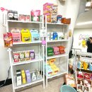 멍이냥식 이미지