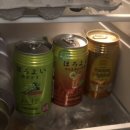 안경마을응암점 | 라식, 금주, 따릉이