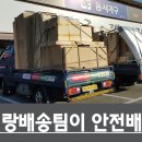 Y갤러리