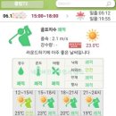 스카이네비 | 베르힐CC영종 후기 오션, 스카이 코스 2025년 6월중순 라운드