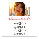 호오포노포노 | 호오포노포노 후기, 네 마디의 기적