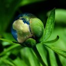 지구자원 이미지