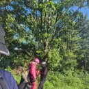 경주페러글라이딩 이미지