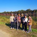 금굴2농장 이미지