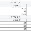 국보타이어 이미지