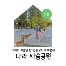 나라 사슴공원 리얼 후기 아이와 가볼만한 일본 오사카 여행지