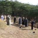 금학당 Daum카페