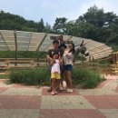 푸른숲한우마을 이미지
